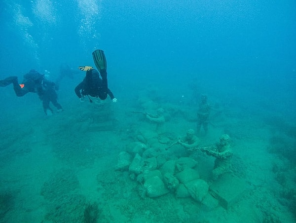 Diving Details and Entry Requirements