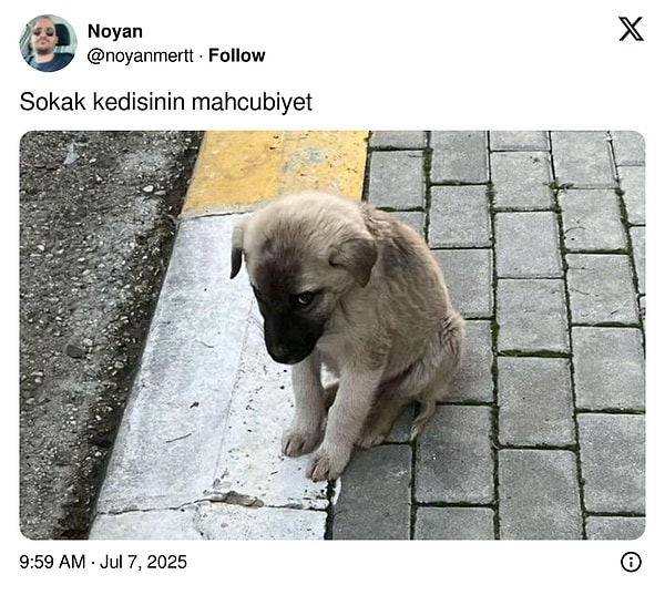 👇🏻