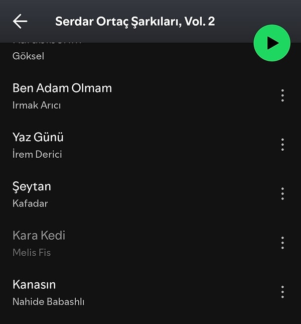 Kara Kedi, Spotify'dan kaldırıldı.