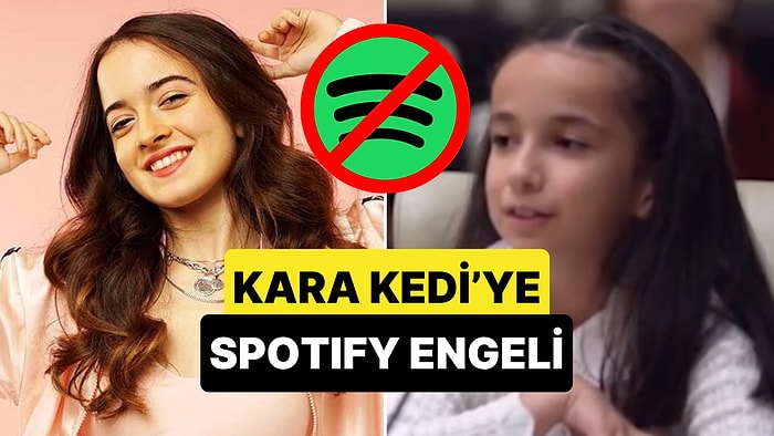Melis Fis'in "Daha Çok Kızların Bildiği" Şarkısı Kara Kedi Spotify'dan Kaldırıldı