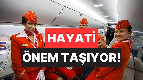 Hayati Önem Taşıyor: Uçuş Görevlisi, Yolculuk Öncesi Yolculara Neden Selam Verildiğini Açıkladı