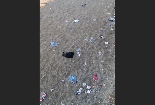 Plajları temiz tutmak, hem çevre sağlığı hem de sürdürülebilir turizm açısından büyük önem taşır.