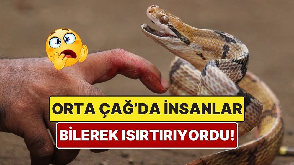 Orta Çağ’da İnsanlar Neden Kendilerini Yılana Isırtıyordu?