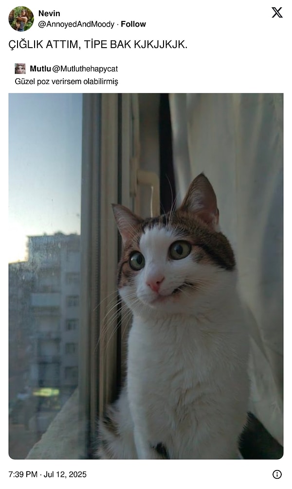 Dünyanın en güzel pozu 😻