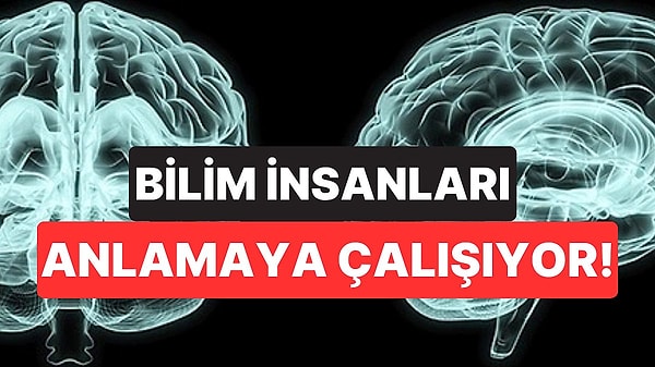 11. İnsan Beyninin Işık Yaydığını Biliyor muydunuz?