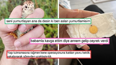 Kene Savaşına Katılan Yavru Keklikten Lahmacuna Benzeyen Hırvatistan'a Son 24 Saatin Viral Tweetleri