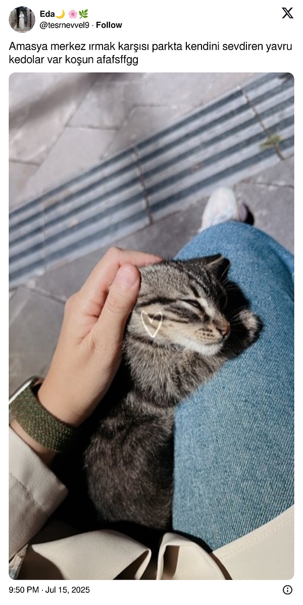 Dilerseniz kaydedin, lazım olur :)