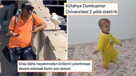 Derdini Martıya Anlatandan YKS Mizahını Es Geçmeyenlere Son 24 Saatin Viral Tweetleri