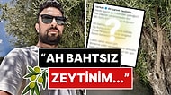 Zeytinliklerin İmara Açılmasına Sinirlenen Tarkan, Zeytinler İçin Yazdığı Şiiri Paylaştı