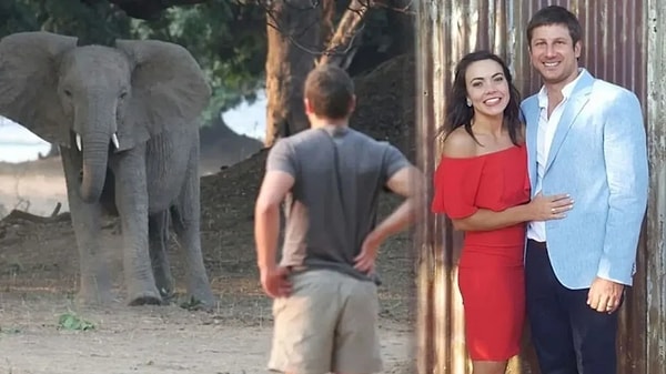 Korkunç olay Salı günü Güney Afrika'da turistlere "eğlence" amaçlı safari düzenlenen bir tesiste meydana geldi.