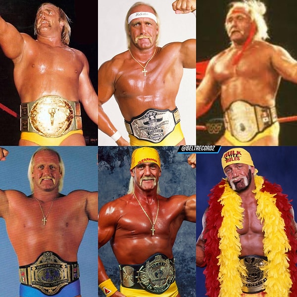 Hulk Hogan'ın Ödülleri