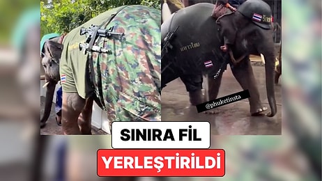 Sınıra Filler Konuşlandırıldı: Tayland ve Kamboçya Arasında Yaşanan Gerginliğe Filler Dahil Oldu