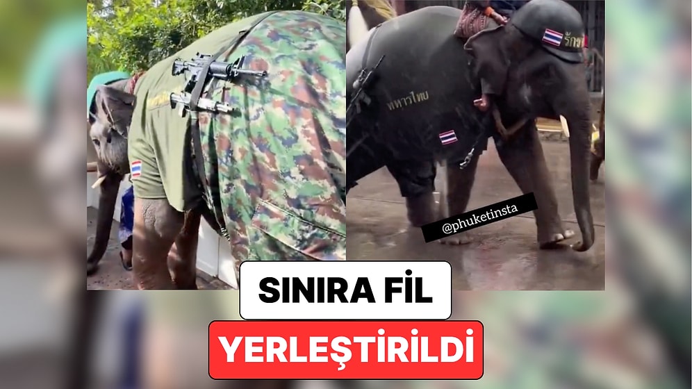 Sınıra Filler Konuşlandırıldı: Tayland ve Kamboçya Arasında Yaşanan Gerginliğe Filler Dahil Oldu