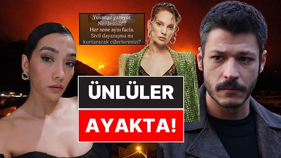 Karabük'ten Bursa'ya Kadar Alevler İçindeyiz: Türkiye'yi Saran Yangınlara Ünlü İsimlerden Tepki Yağıyor!