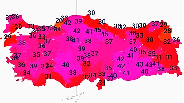 Türkiye’de yaklaşık 1 haftadır etkili olan sıcak hava dalgası hayatı olumsuz etkilemeye devam ediyor.