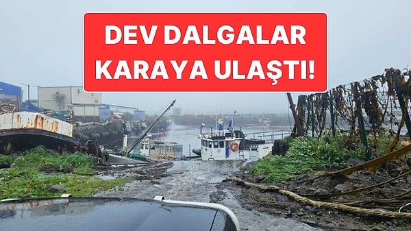 Rusya’da 8.8 Büyüklüğünde Deprem: Tsunami Dalgaları Hawaii’ye Ulaştı