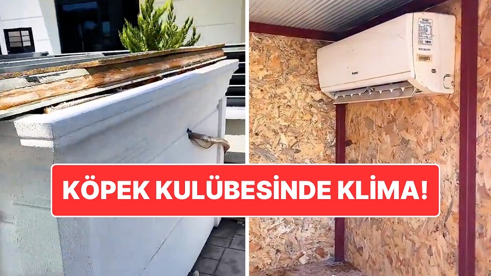 Aşırıcı Sıcaklarda Köpek Dostunu Unutmadı: Antalya’da Köpek Kulübesine Klima Takıldı