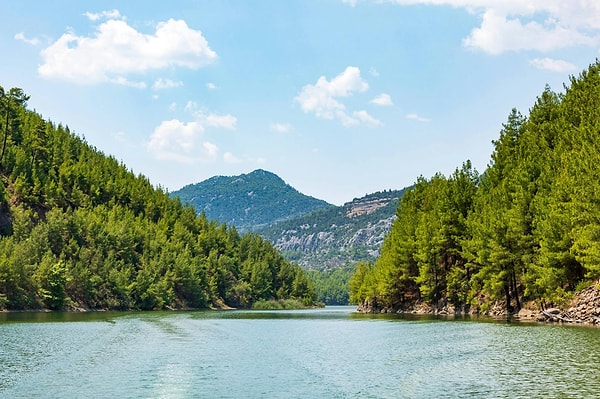 3. Vakıf Çamlığı Nature Reserve