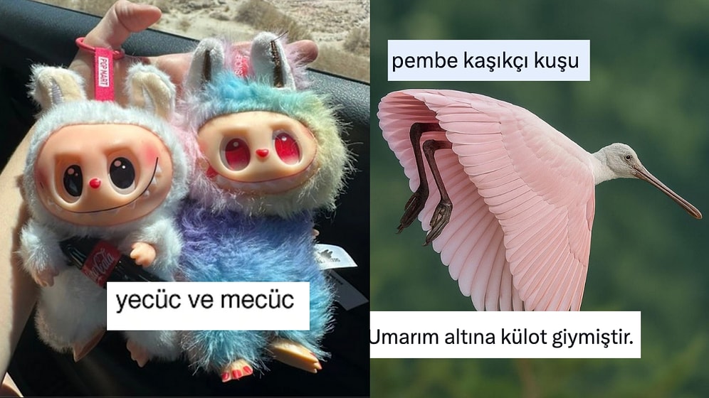 Alternatif Labubu Lafufu İsimlerinden Temkinsiz Uçanlara Son 24 Saatin Viral Tweetleri