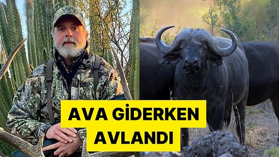 ABD'li İş İnsanı Güney Afrika'da Katıldığı Av Turunda Bufalo Tarafından Öldürüldü