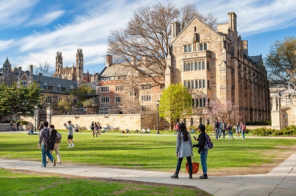 Yale Üniversitesi (ABD)