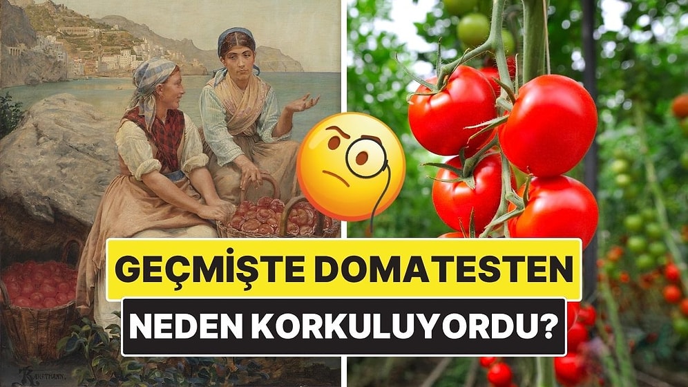 Bir Zamanlar Avrupa’da Domates Neden Korku Kaynağıydı?