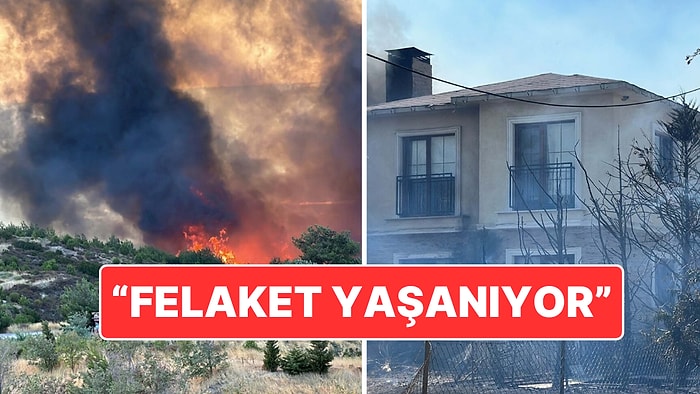 Çanakkale’de Orman Yangını: "Maalesef Çanakkale Bir Felaketle Karşı Karşıya"