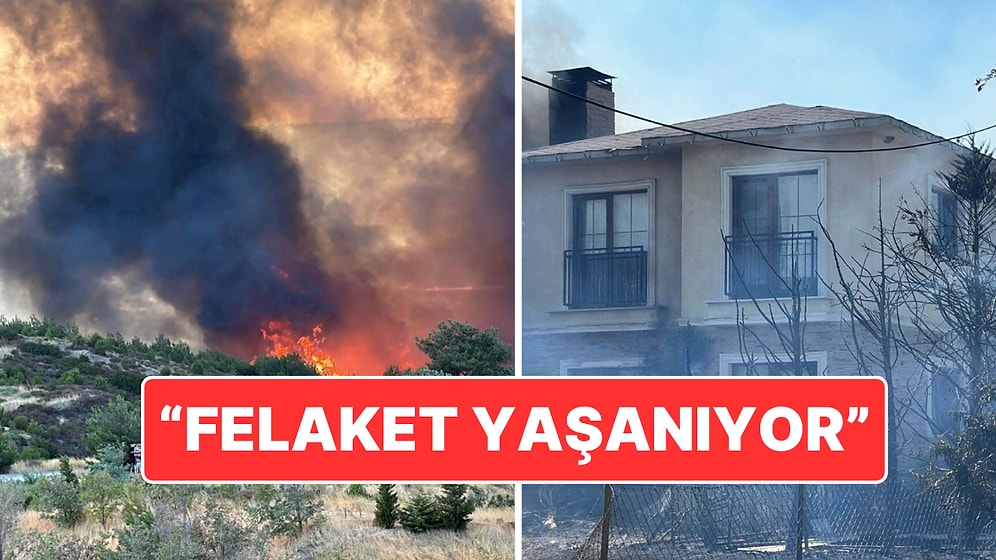 Çanakkale’de Orman Yangını: "Maalesef Çanakkale Bir Felaketle Karşı Karşıya"