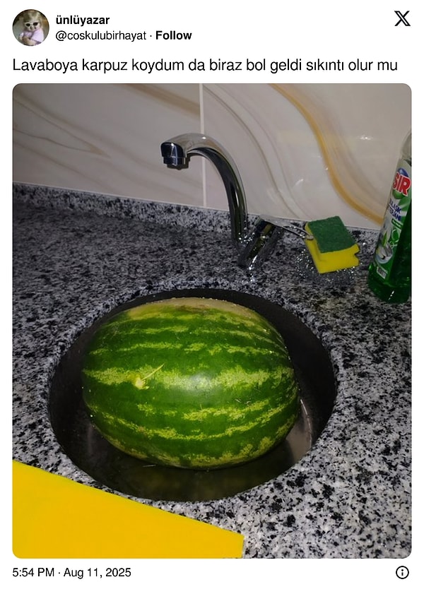 Aynı bu şekilde lavaboya sıkışan karpuzun goygoyu ise bir türlü bitmek bilmedi.