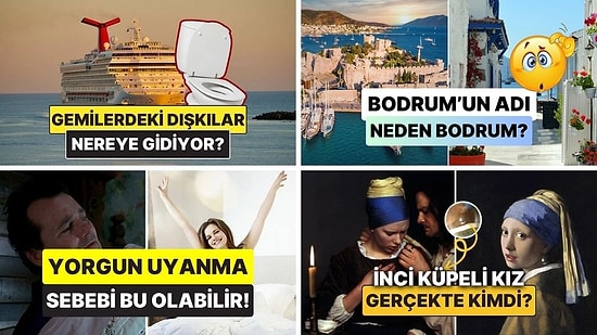 Sohbetlerin Aranan İsmi Olacaksınız: Arkadaş Ortamında Satabileceğiniz 15 Şaşırtıcı Bilgi