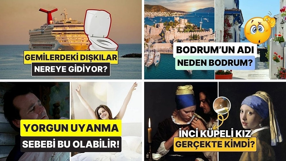 Sohbetlerin Aranan İsmi Olacaksınız: Arkadaş Ortamında Satabileceğiniz 15 Şaşırtıcı Bilgi