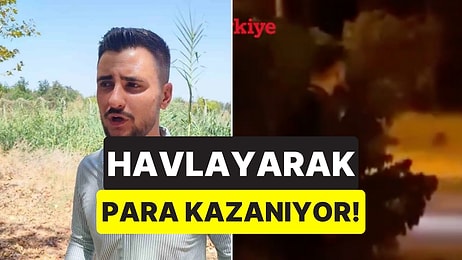 Çukurova Üniversitesi’nde Domuzları Havlayarak Kovalayan Vatandaşın O Anları Kameraya Yansıdı