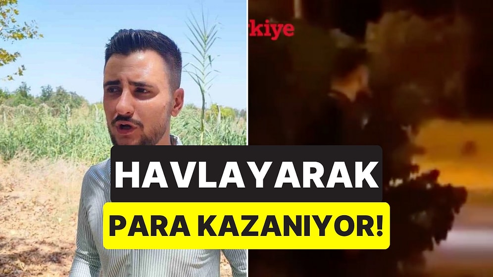 Çukurova Üniversitesi’nde Domuzları Havlayarak Kovalayan Vatandaşın O Anları Kameraya Yansıdı
