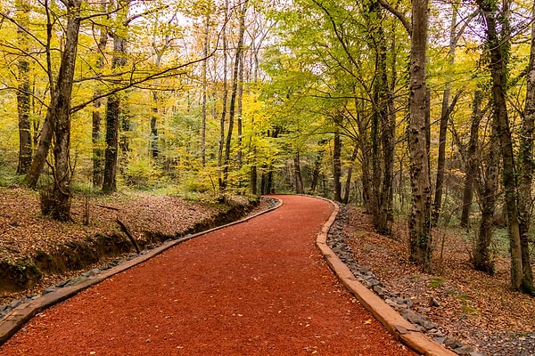 3. Belgrad Ormanı'nda doğa ile iç içe anlar