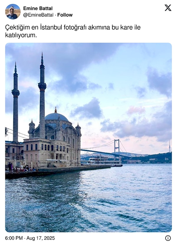 👇🏻