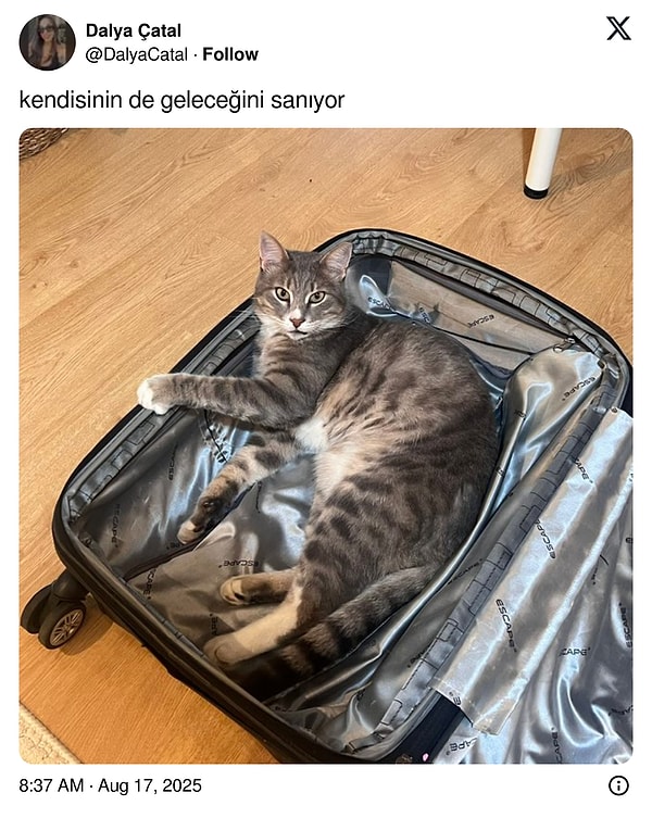"Sanıyor" derken?
