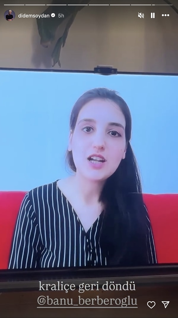 Didem Soydan