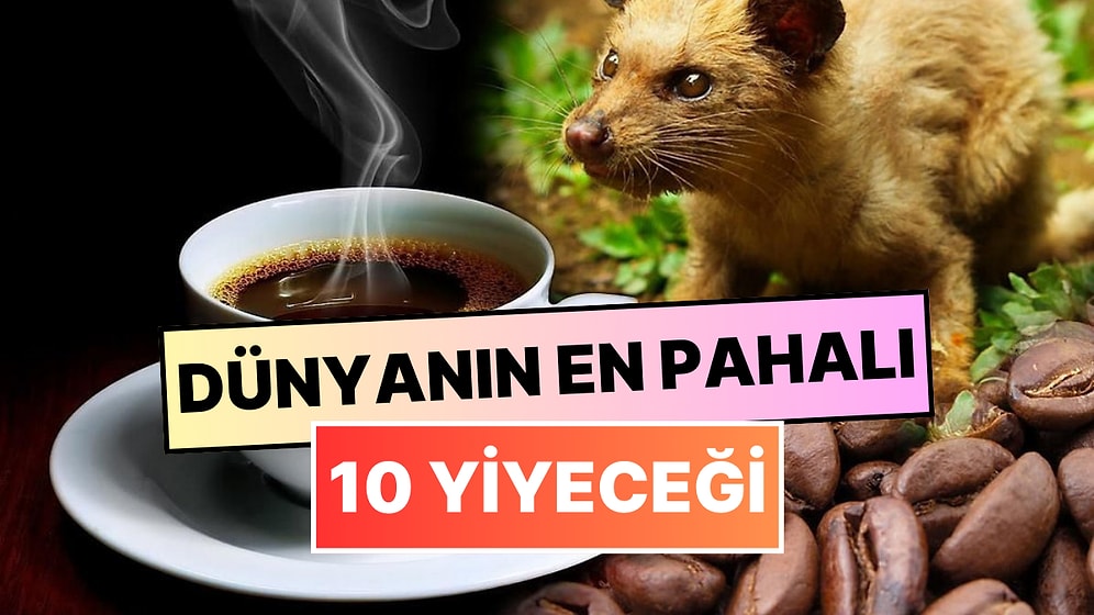 Dünyanın En Pahalı 10 Yiyeceği: Bu Yemeklerin Tadına Bakmak Cesaret İster!