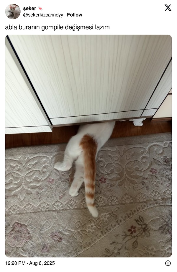 Başlıyoruz!