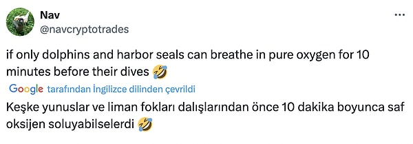 👇🏻