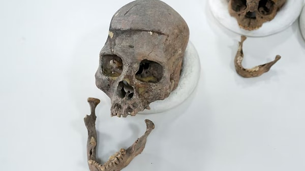 Kolombiyalı bilim insanları, Bogotá yakınlarında yapılan arkeolojik kazılarda 6.000 yıl öncesine tarihlenen kalıntılardan daha önce bilinmeyen bir insan soyunu keşfetti.