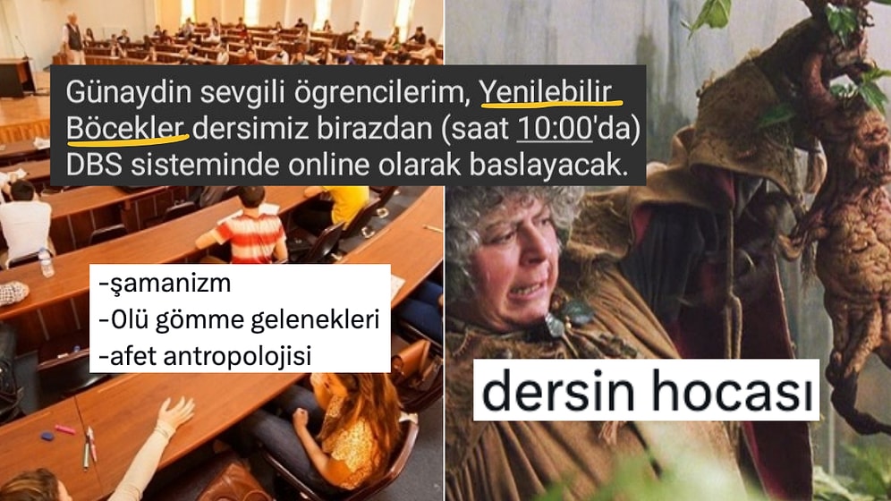 Hogwarts Halt Etmiş: Üniversitelerdeki Garip İsimli Dersler