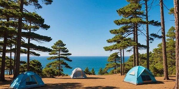 7. İnlice Public Beach Campsite
