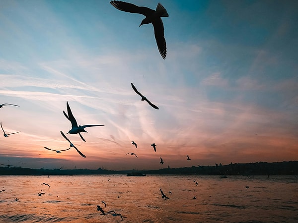 10. Vaniköy: Üsküdar's Hidden Paradise