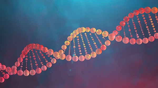 4. Aşağıdakilerden hangisi DNA’da bulunan bazlardan biri değildir?