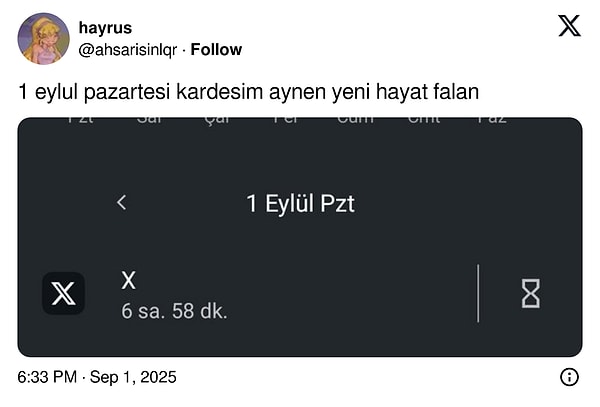 👇🏻