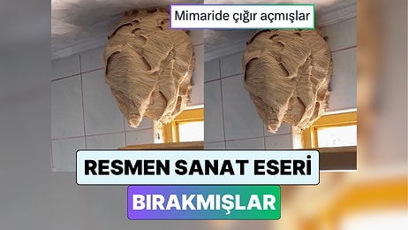 Yeni Fobi Yüklendi: İki Aydır Tatilde Olan Aile Döndüklerinde Hiç Beklemedikleri Bir Manzarayla Karşılaştı