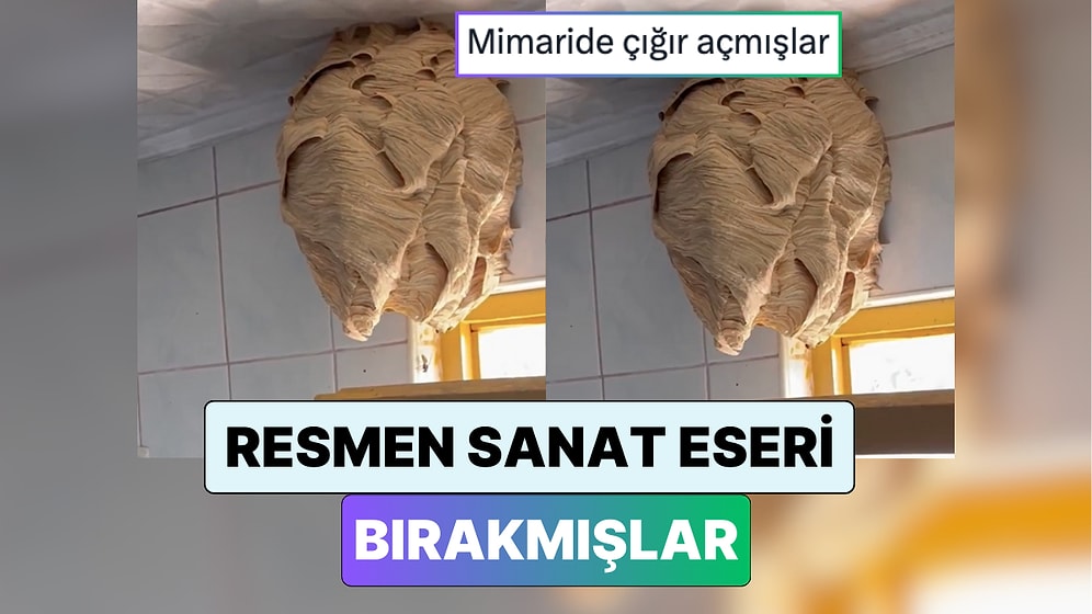 Yeni Fobi Yüklendi: İki Aydır Tatilde Olan Aile Döndüklerinde Hiç Beklemedikleri Bir Manzarayla Karşılaştı