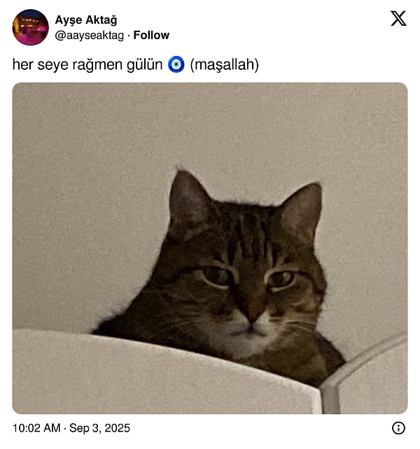 Evin sahibinin kendisi olduğunu biliyor.