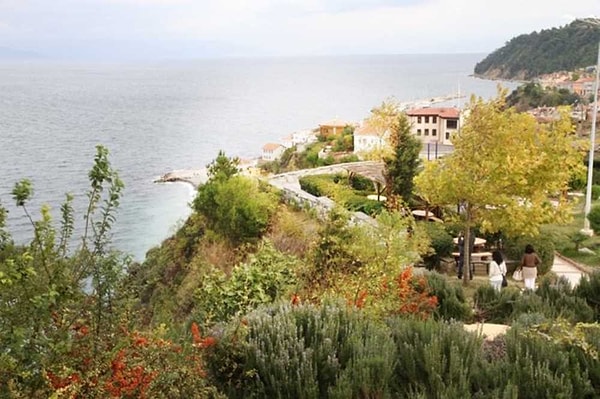 7. Çamlı Kahve – Enchanting Views from Tirilye's Highest Point